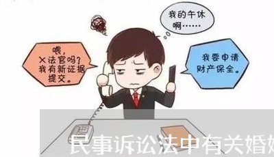 民事诉讼法中有关婚姻问题的规定/2023081249706