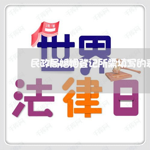 民政局婚姻登记所需填写的表格/2023112703835