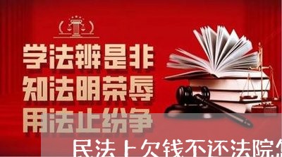 民法上欠钱不还法院怎么判/2023112784850