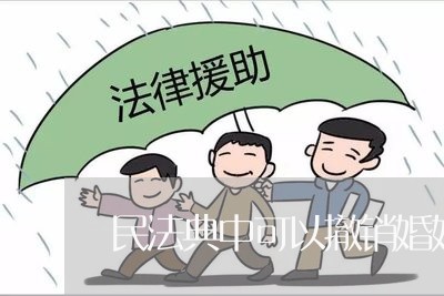 民法典中可以撤销婚姻的原因/2023081316948