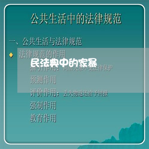 民法典中的家暴/2023091039626