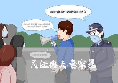 民法典夫妻家暴/2023090746502