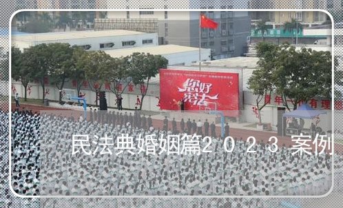 民法典婚姻篇2023案例/2023081337378