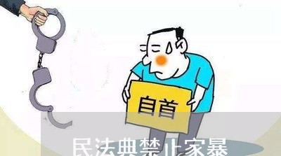 民法典禁止家暴/2023122149304