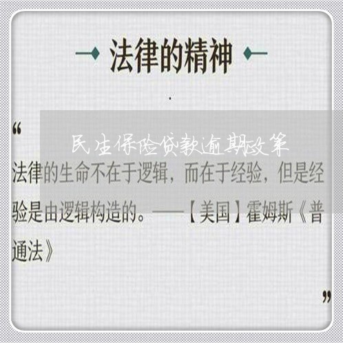 民生保险贷款逾期政策/2023111460806