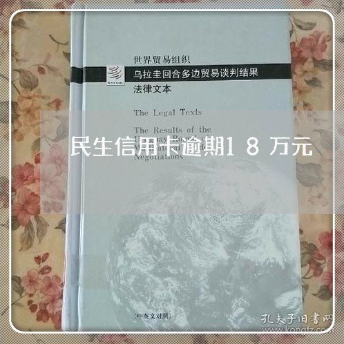 民生信用卡逾期18万元/2023060156368