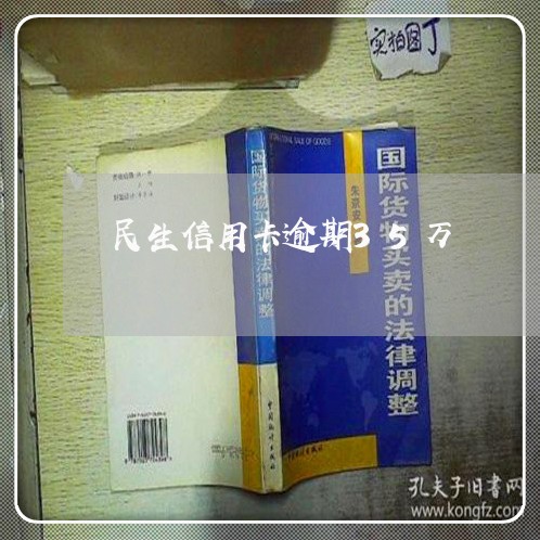 民生信用卡逾期35万/2023112504817