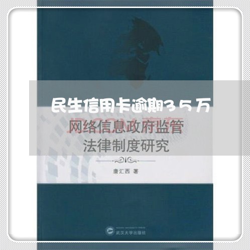 民生信用卡逾期35万/2023112590373