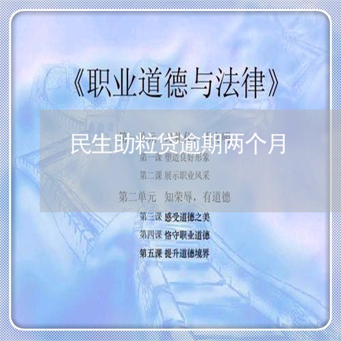 民生助粒贷逾期两个月/2023111489382