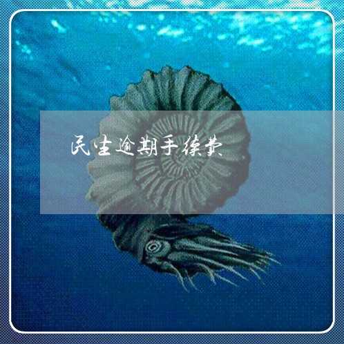 民生逾期手续费/2023081248571