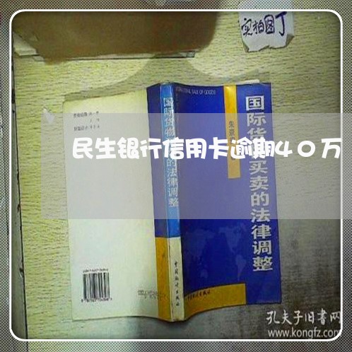 民生银行信用卡逾期40万/2023051283836