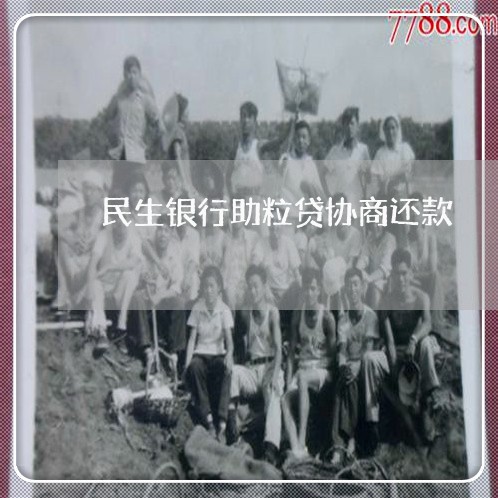 民生银行助粒贷协商还款/2023100636869