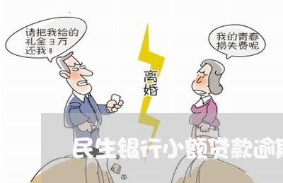 民生银行小额贷款逾期/2023111516160