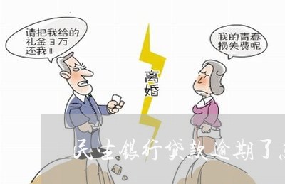 民生银行贷款逾期了怎么办/2023061504937