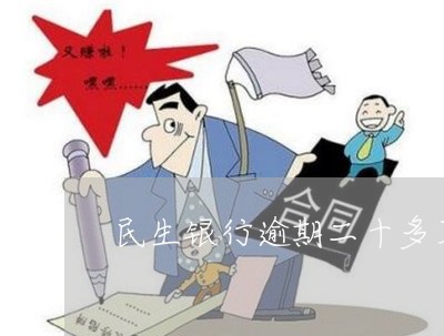 民生银行逾期二十多万会怎么样/2023053009617