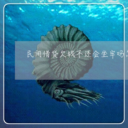 民间借贷欠钱不还会坐牢吗怎么办/2023121016826