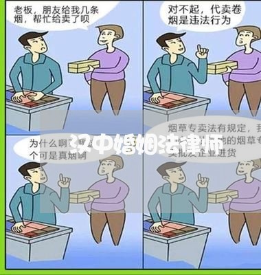 汉中婚姻法律师/2023112431462