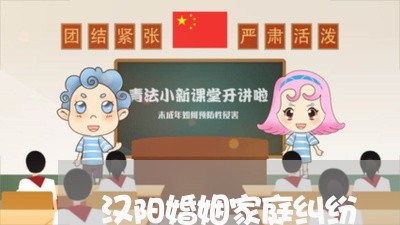 汉阳婚姻家庭纠纷/2023112507159