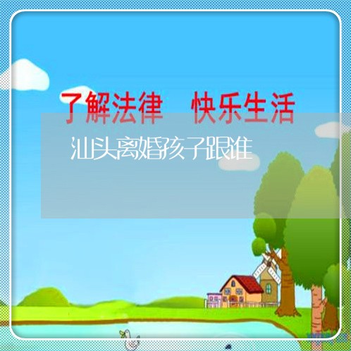 汕头离婚孩子跟谁/2023092806240