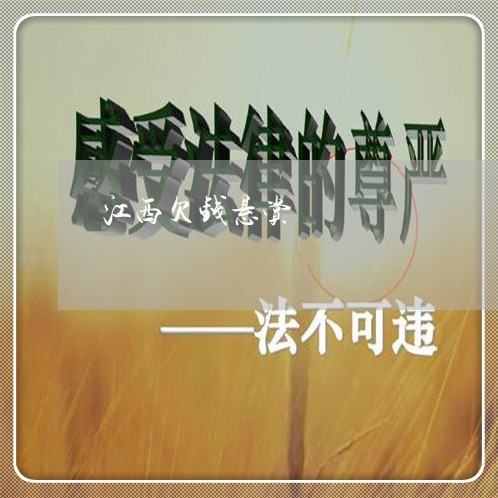 江西欠钱悬赏/2023121951290