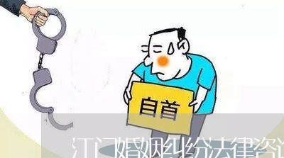 江门婚姻纠纷法律咨询/2023112555248