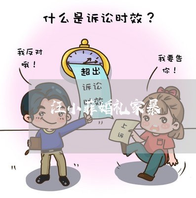 汪小菲婚礼家暴/2023090894049