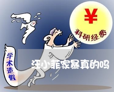 汪小菲家暴真的吗/2023100736273