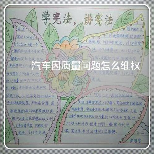 汽车因质量问题怎么维权/2023052356293