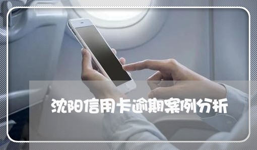 沈阳信用卡逾期案例分析/2023051183804