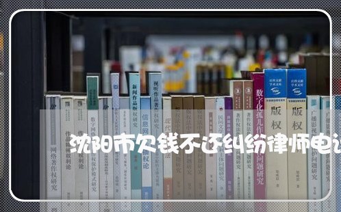 沈阳市欠钱不还纠纷律师电话/2023092748351