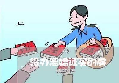 没办离婚证买的房/2023092481715