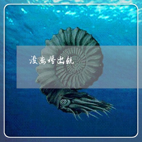 没离婚出轨/2023081884848