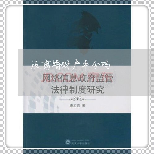 没离婚财产平分吗/2023093061483