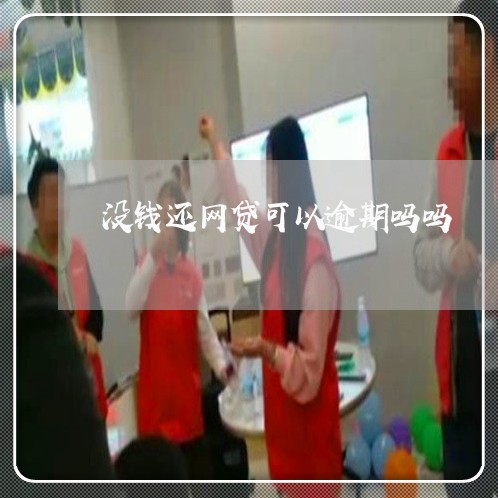 没钱还网贷可以逾期吗吗/2023081317250