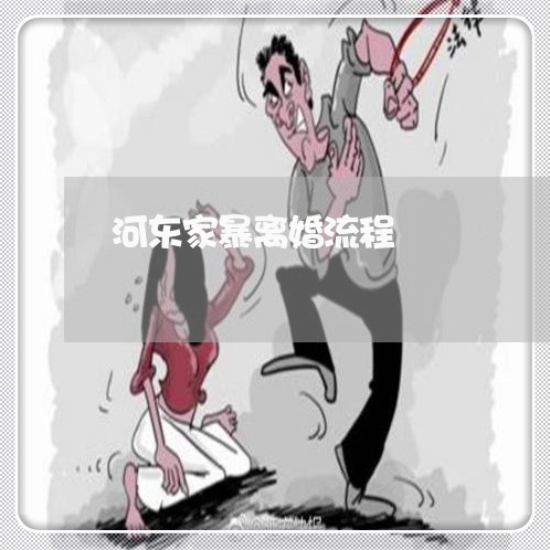 河东家暴离婚流程/2023092372696