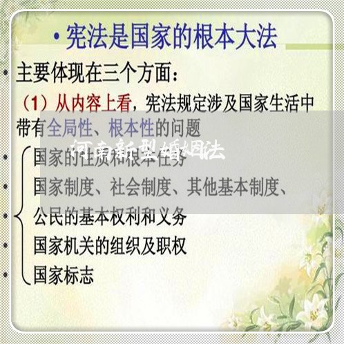 河南新型婚姻法/2023112460674