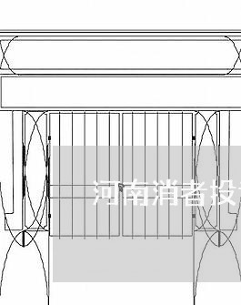 河南消者投诉最有效方法/2023032447081