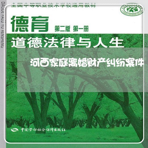 河西家庭离婚财产纠纷案件/2023111409715