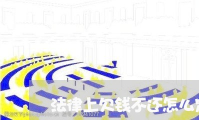 法律上欠钱不还怎么定性/2023112752592