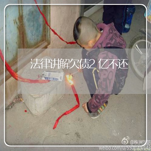 法律讲解欠债2亿不还/2023111715268