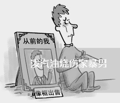 泼汽油烧伤家暴男/2023101294734