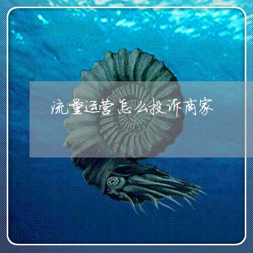 流量运营怎么投诉商家/2023022717259