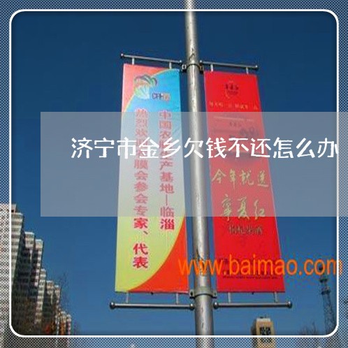 济宁市金乡欠钱不还怎么办/2023120905137