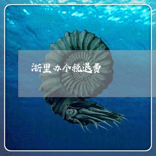 浙里办个税退费/2023042039283