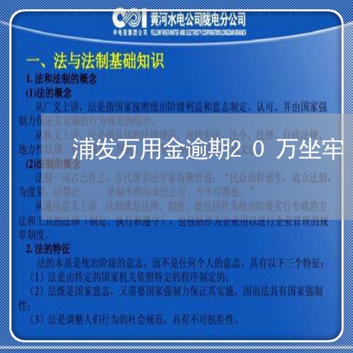 浦发万用金逾期20万坐牢/2023091504937