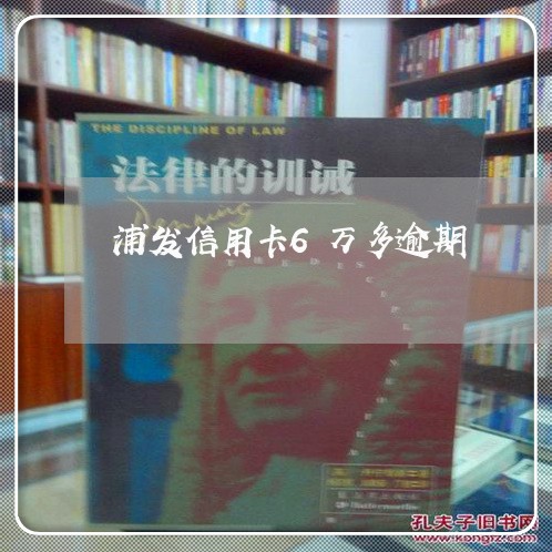 浦发信用卡6万多逾期/2023121828169