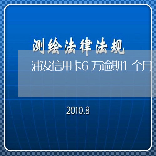 浦发信用卡6万逾期1个月/2023052814149