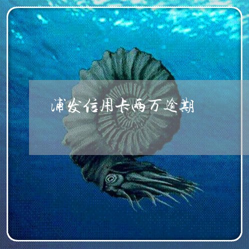 浦发信用卡两万逾期/2023061050814