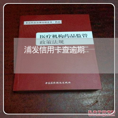 浦发信用卡查逾期/2023062999571