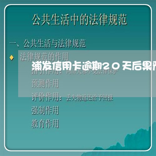 浦发信用卡逾期20天后果严重吗/2023072247252